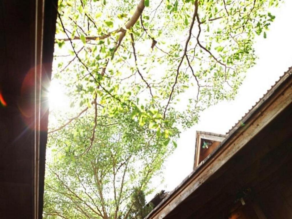 Loghome Boutique Чиангмай Экстерьер фото